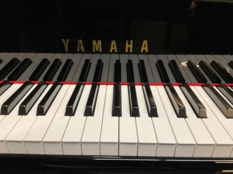 Yamaha_GB1K _J3892460 (1).jpg